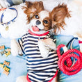 Load image into Gallery viewer, LEASH - HOT MARINE