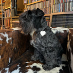 Necklace with heart tag