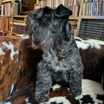 Necklace with heart tag