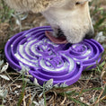 Load image into Gallery viewer, Water Frog eTray - Shallow Slow Feeder Dog Bowl for Enrichment | USA Made