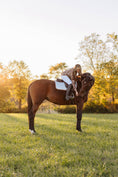 Load image into Gallery viewer, Jump Saddle Pad | Chrome