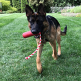 Load image into Gallery viewer, USA-K9 Firecracker Durable Rubber Floating Training Dummy - Large - Red