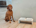 Load image into Gallery viewer, Bowsers Fresco Double Wood Dog Bowl Feeder in lunar