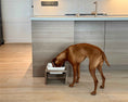 Load image into Gallery viewer, Bowsers Single Artisan Wood Dog Bowl Feeder in bamboo