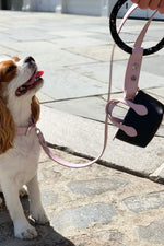 Susan Leash - Blush Pink