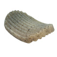 Load image into Gallery viewer, Southlake Paws Potato Chip Nylon Chew & Enrichment Toy, 2-in-1 design for aggressive chewers, textured surface for chewing.