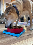 Load image into Gallery viewer, Hold 'em Suction Cup Holder for Dog Bowls & Lick Mats | USA Made