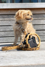 Sasha Leash - Embossed Yellow & Black