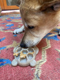 Load image into Gallery viewer, Turtle Nylon Chew Toy - Ultra-Durable Enrichment Toy for Power Chewers USA
