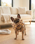 Load image into Gallery viewer, Tan Checker Chewy Vuiton Bone Toy