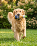 Load image into Gallery viewer, Grrrona Beer Bottle Plush Dog Toy