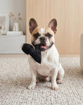 Load image into Gallery viewer, Jimmy Chew Shoe | Squeaky Plush Dog Toy with Crinkle & Mesh Lining