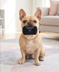 Load image into Gallery viewer, Pawda Handbag Plush Dog Toy | Squeaky Plush Dog Toy with Crinkle & Mesh Lining