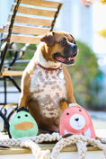 Load image into Gallery viewer, Natural Rope Knottie® Dog Toys, 3 Pack, XL (16mm rope diameter) - image 10