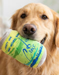 Load image into Gallery viewer, LickCroix Barkling Water Lickety Lime