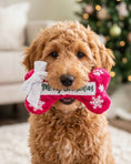 Load image into Gallery viewer, Puppermint Bone - Merry Christmas Plush Dog Toy Holiday