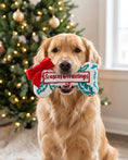 Load image into Gallery viewer, Holly Print Bone - Seasons Grrreetings Christmas Plush Dog Toy Holiday
