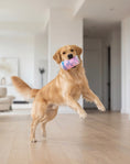 Load image into Gallery viewer, LickCroix - Barkin Berry