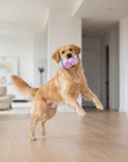 Load image into Gallery viewer, LickCroix - Barkin Berry
