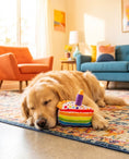 Load image into Gallery viewer, Birthday Cake Slice