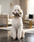 Load image into Gallery viewer, Fursace Bone | Squeaky Plush Dog Toy with Crinkle & Mesh Lining