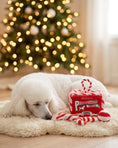 Load image into Gallery viewer, Puppermint Bark Activity House Holiday Christmas Plush Dog Toy