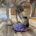 Load image into Gallery viewer, Mandala Softie eTray Shallow Slow Feeder Dog Bowl with Suction Cups | USA Made