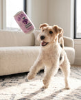 Load image into Gallery viewer, Olipup - Grrrape | Squeaky Plush Dog Toy with Crinkle & Mesh Lining