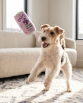 Load image into Gallery viewer, Olipup - Grrrape | Squeaky Plush Dog Toy with Crinkle & Mesh Lining