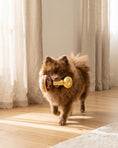 Load image into Gallery viewer, Espresso Muttini | Squeaky Plush Dog Toy with Crinkle & Mesh Lining