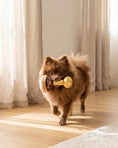 Load image into Gallery viewer, Espresso Muttini | Squeaky Plush Dog Toy with Crinkle & Mesh Lining