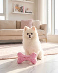 Load image into Gallery viewer, Pink Checker Chewy Vuiton Bone