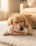 Load image into Gallery viewer, Pupkin' Donuts Hot Coffee | Squeaky Plush Dog Toy with Crinkle & Mesh Lining