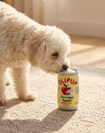 Load image into Gallery viewer, Olipup Soda Grrrisp Apple Holiday Plush Dog Toy | Squeaky Plush Dog Toy with Crinkle & Mesh Lining