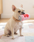 Load image into Gallery viewer, Puppi Ruffberry Rose | Squeaky Plush Dog Toy with Crinkle & Mesh Lining