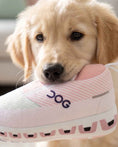 Load image into Gallery viewer, DOG Workout Shoe | Squeaky Plush Dog Toy with Crinkle & Mesh Lining