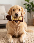 Load image into Gallery viewer, Barkbells Pawtein Bar | Squeaky Plush Dog Toy with Crinkle & Mesh Lining