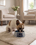 Load image into Gallery viewer, Dogior Bowls