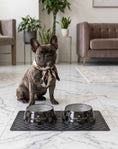 Load image into Gallery viewer, Black Checker Chewy Vuiton Bowls & Placemat Bundle