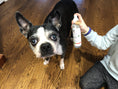 Load image into Gallery viewer, Dry & Waterless Deep Cleaning Shampoo