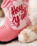 Load image into Gallery viewer, Kitty Cowgirl - Organic Catnip