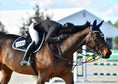 Load image into Gallery viewer, Jump Saddle Pad | Navy