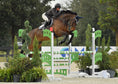 Load image into Gallery viewer, Jump Saddle Pad | Navy