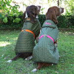 Dog Raincoat Green And Pink Quilt