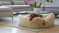 Load image into Gallery viewer, Bowsers Franklin Orthopedic Dog Bed in aquarius