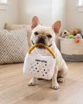Load image into Gallery viewer, White Chewy Vuiton Handbag