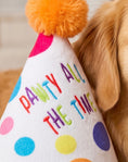Load image into Gallery viewer, Happy Birthday Pawty Hat Toy