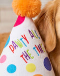 Load image into Gallery viewer, Happy Birthday Pawty Hat Toy