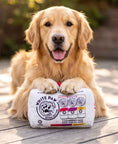 Load image into Gallery viewer, White Paw Grrriety Pack - Activity House