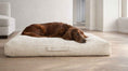 Load image into Gallery viewer, Bowsers The Avenue Orthopedic Dog Bed in parchment